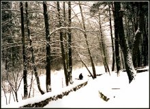 Here I am, and freeze / ***