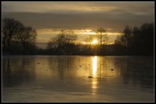 Wo ist Winter? / ***