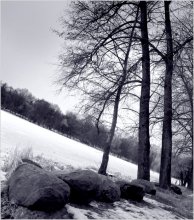 Trees to grow up / ***
