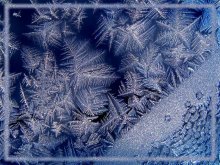 Snowflakes / ***