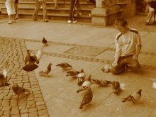 Feeding pigeons ... / ***