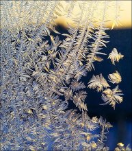 Winter lace. / ***