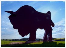 Aurochs / ***