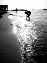 Morning on the west coast / ***
