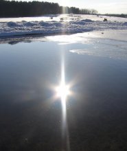 Reflection / ***