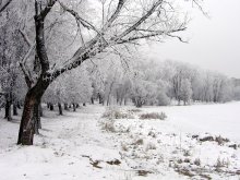 Winter Landscape / ***
