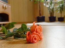 Roses / ***