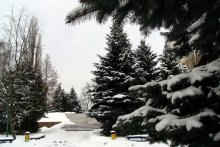 Winter Landscape / ***