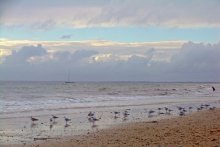 Sea / ***