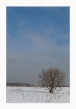 Winter / ***
