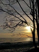 Gulf of Finland (winter) / ***