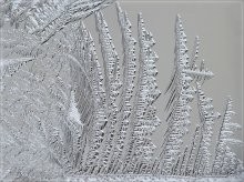 Crystal Forest / ***