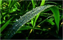 Der Himmel ist eine Reflexion / ***