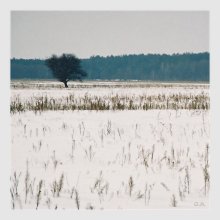 Loneliness / ***