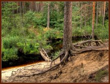 "There on unknown paths ..." / ***