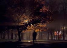 shadows disappear at midnight / ***