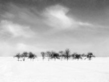Silence / ***