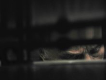 Loneliness ... Fear ... There is no hope in sight ... / ***