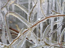 An diesem Winter Gorazd ... / ***