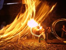 Jungle Fire / ***