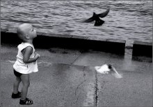 About Angels / ***