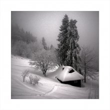 Solitude / ***
