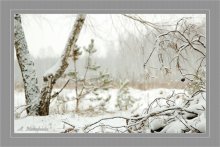 winter sleep / ***