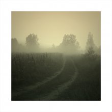 where there ... / ***