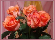 Roses for Valentine / *****