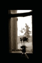 Serie &quot;Ein Moment der Ruhe&quot; 2 / ***