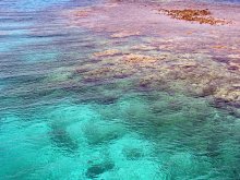 Lagoon / ***