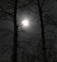 Through the eyes of the werewolf / ***