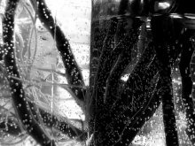 black and white / ***