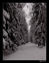 Winter alley / ***