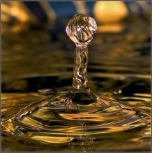 Bathing in Gold / ***