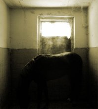 Stables / ***