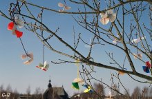 Spring is coming ... / ***