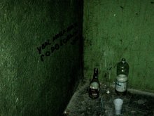  / ***