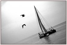 Loneliness / ***