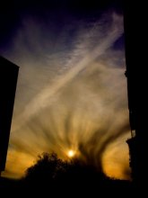 Evening / ***