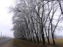 Last gasp of winter / ***