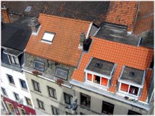Roofs / ***