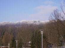 einen Tag im Winter / ***