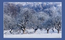 Winter is beautiful and scary. / ***