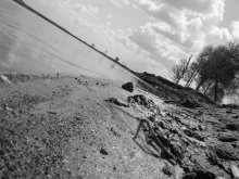 Coast / ***