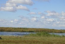 Lake near s.Almenevo (Kurgan Region). / ***