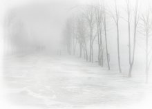 welcome to the dream... / ***