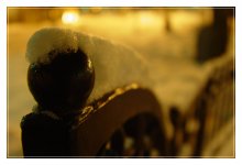 Form ... / ***