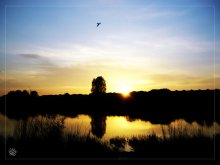 Sunset over Lake / ***