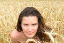 Wheat / ***